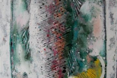 mackerel_on_a_plate