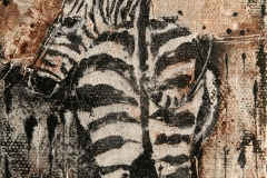 zebra10x10cm