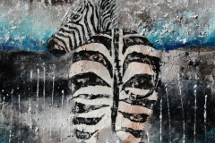 zebras_bum_50x50cm