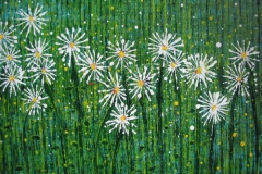 bigdaisys