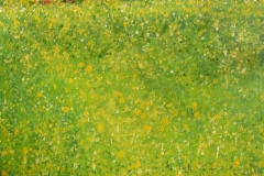 colza_(Small)