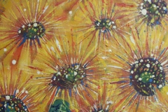 newsunflowers