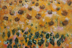 tournesol 80 * 80
